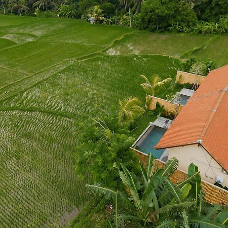 Uma Rimbun Pool Villa By Uniquecations Ubud Extérieur photo