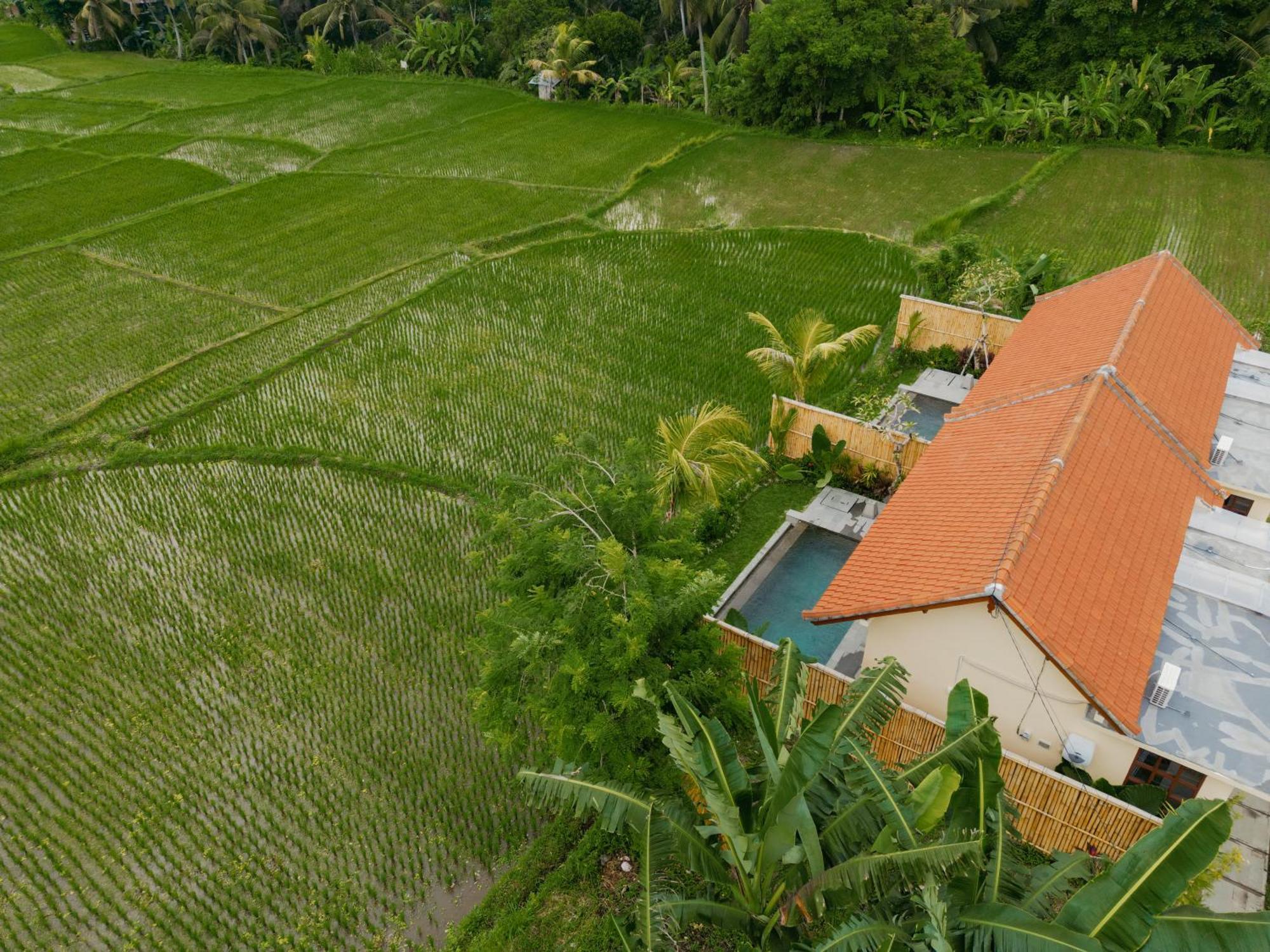 Uma Rimbun Pool Villa By Uniquecations Ubud Extérieur photo